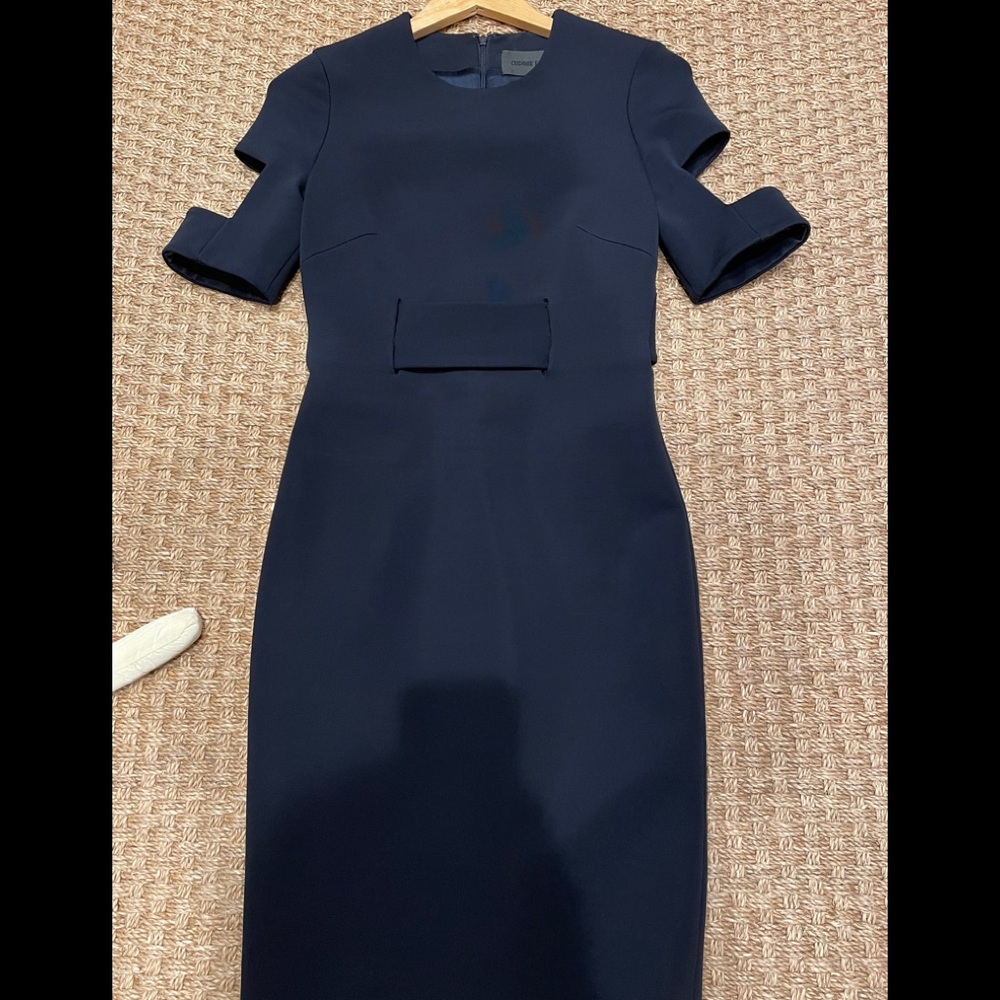 Classy Cushnie Et Ochs dress